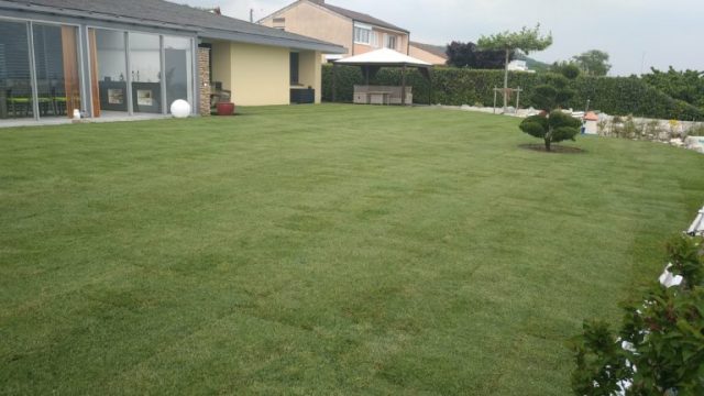 IMG_20180504_163138-768×576