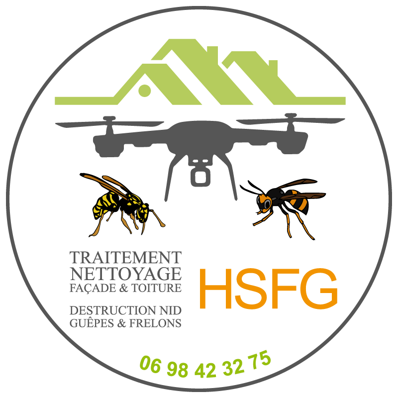 Logo-HSFG-mars-2023